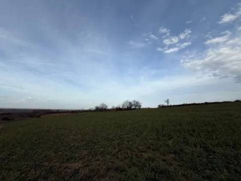 Prodaja, plac, 24207m², Beočić, Rekovac - image 16