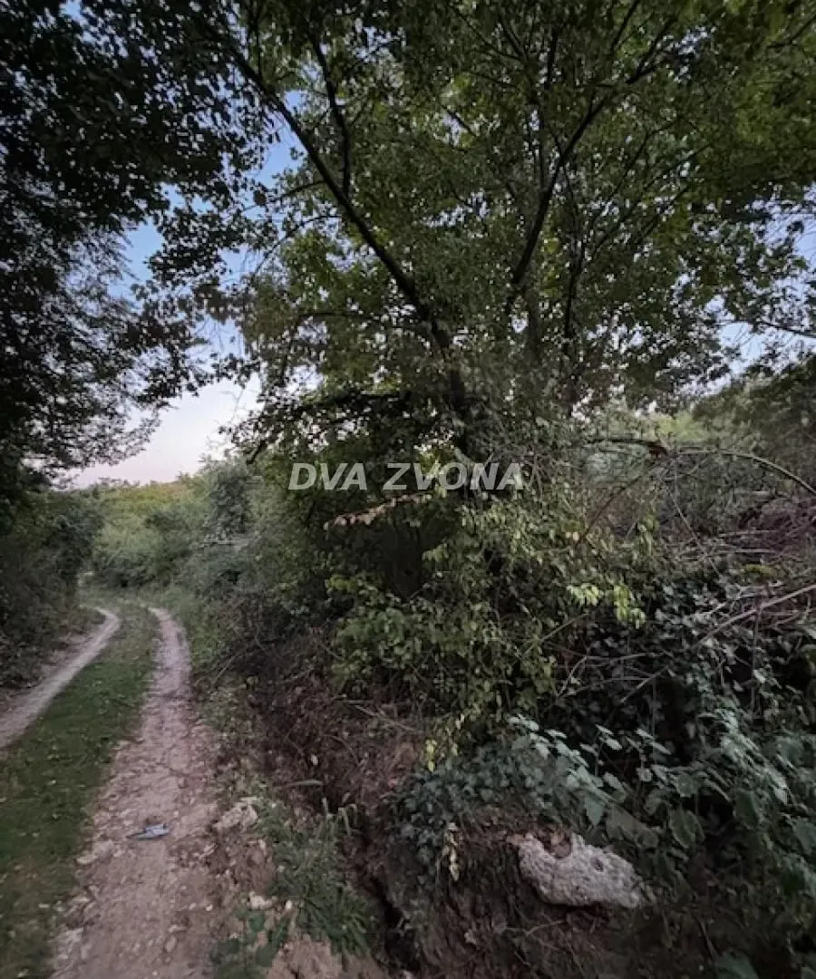 Sale, land lot, 2600m², Čortanovci, Inđija