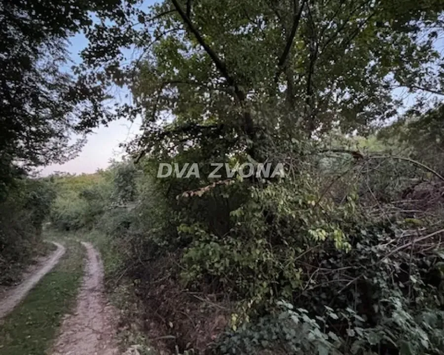 Sale, land lot, 2600m², Čortanovci, Inđija