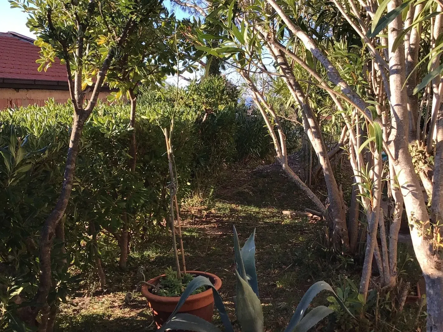 Sale, house, 260m², Sutomore, Bar