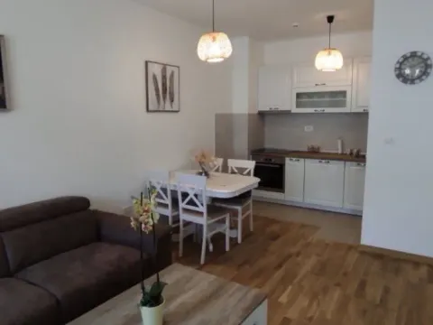 Izdavanje, jednosoban stan, 46m², City Kej, Podgorica - image 3