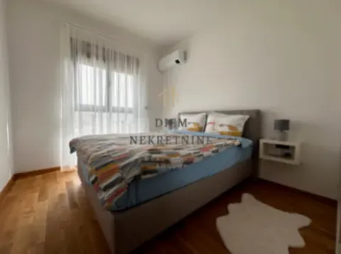 Izdavanje, jednosoban stan, 55m², Gorica C, Podgorica - image 12