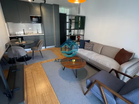 Rent, one bedroom apartment, 45m², Ilino, Bar - image 2