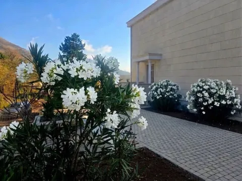 Prodaja, kuća, 270m², Reževići, Budva - image 19