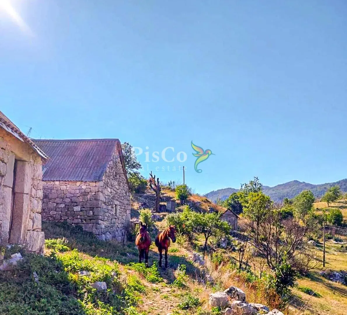 Prodaja, plac, 480000m², Nikšić, Crna Gora