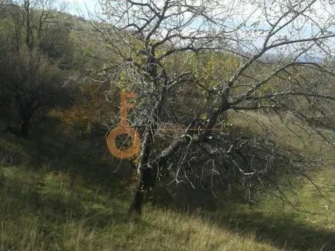 Prodaja, plac, 221500m², Ostalo, Podgorica - image 7