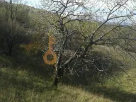 Sale, land lot, 221500m², Ostalo, Podgorica - image 7