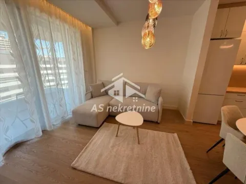 Izdavanje, dvosoban stan, 55m², Novi Beograd Blok 64, Novi Beograd Sve Podlokacije - image 2