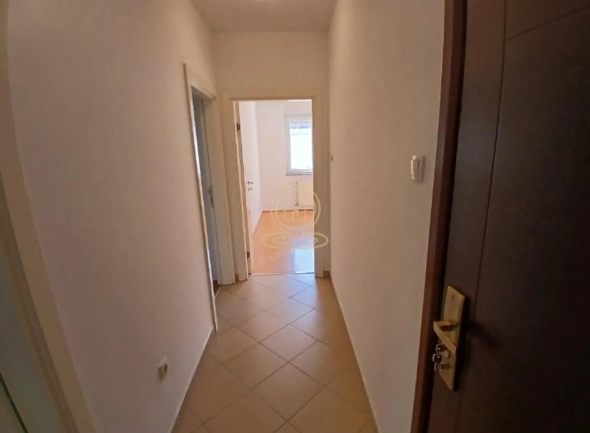 Izdavanje, dvosoban stan, 36m², Detelinara, Novi Sad Sve Podlokacije