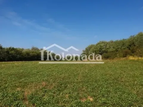 Sale, land lot, 17757m², Babe, Sopot - image 3