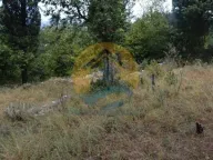 Sale, land lot, 1200m², Dobrota, Kotor - image 4