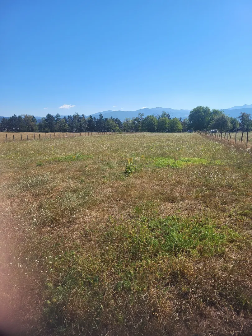 Prodaja, plac, 4000m², Aerodrom Berane, Berane