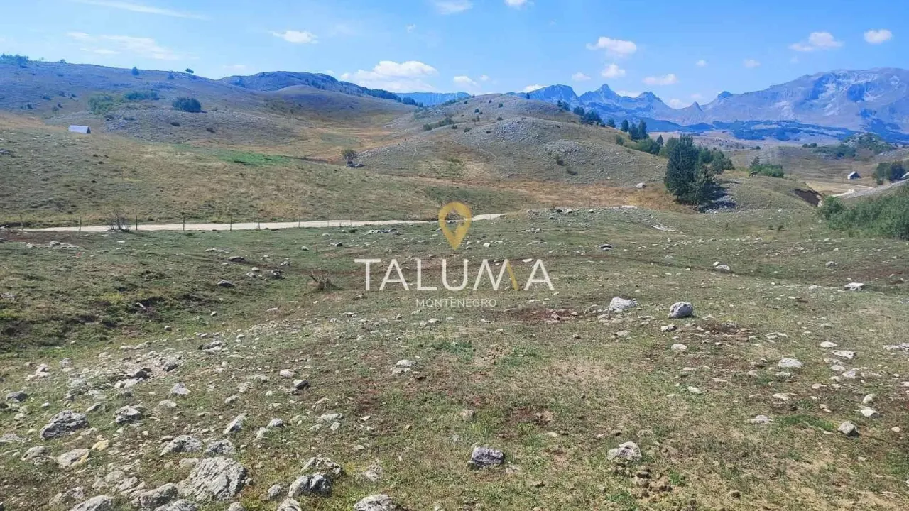 Sale, land lot, 65000m², Žabljak, Crna Gora