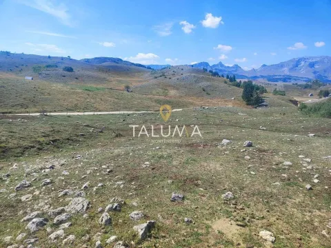 Prodaja, plac, 65000m², Žabljak, Crna Gora - image 2