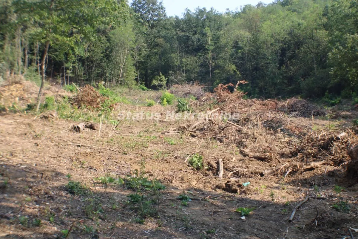 Prodaja, plac, 6531m², Beočin, Srbija