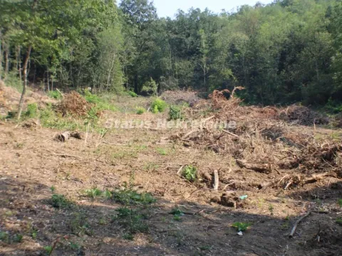 Prodaja, plac, 6500m², Beočin, Srbija - image 4