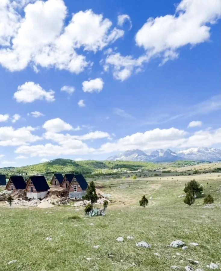 Prodaja, plac, 100000m², Borje, Žabljak