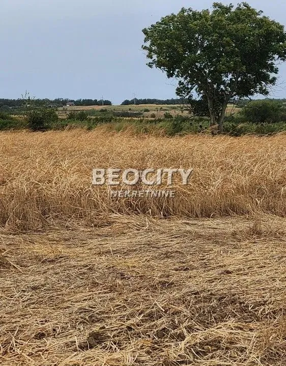 Prodaja, plac, 100m², Sremčica, Beograd