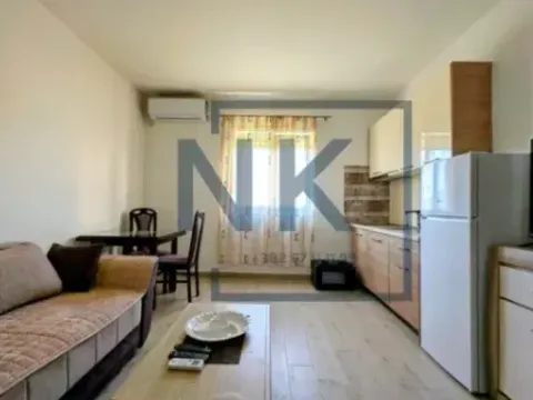 Izdavanje, jednosoban stan, 50m², Kruševac, Podgorica - image 5