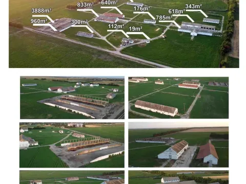 Prodaja, plac, 98000m², Vrbas, Novi Sad - image 14