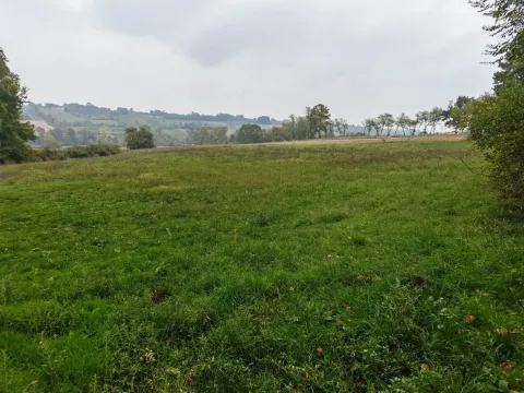 Prodaja, plac, 33900m², Velika Ivanča, Mladenovac - image 13