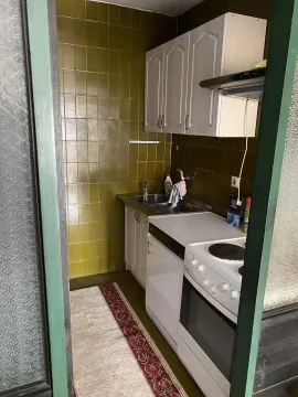 Mala kuhinja sa zelenim pločicama. - image 15
