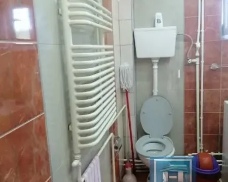 Prodaja, kuća, 459m², Batočina, Srbija - image 10