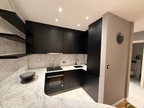 Izdavanje, jednosoban stan, 50m², Central Point, Podgorica - image 9