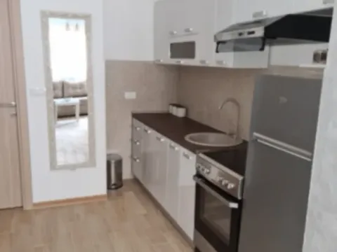 Izdavanje, garsonjera, 30m², Dubovica, Budva - image 7