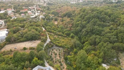 Pogled iz vazduha na okolnu prirodu, šumu i seoska imanja. - image 6