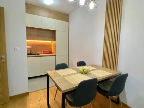 Rent, one bedroom apartment, 45m², New City, Podgorica - image 4