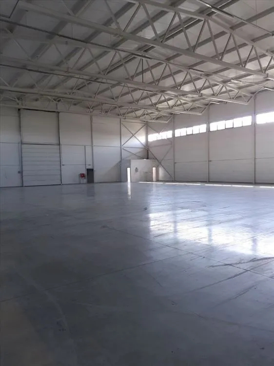 Izdavanje, poslovni prostor, 1008m², Šimanovci, Pećinci
