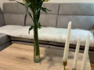 Prodaja, jednosoban stan, 32m², Zabjelo, Podgorica - image 2