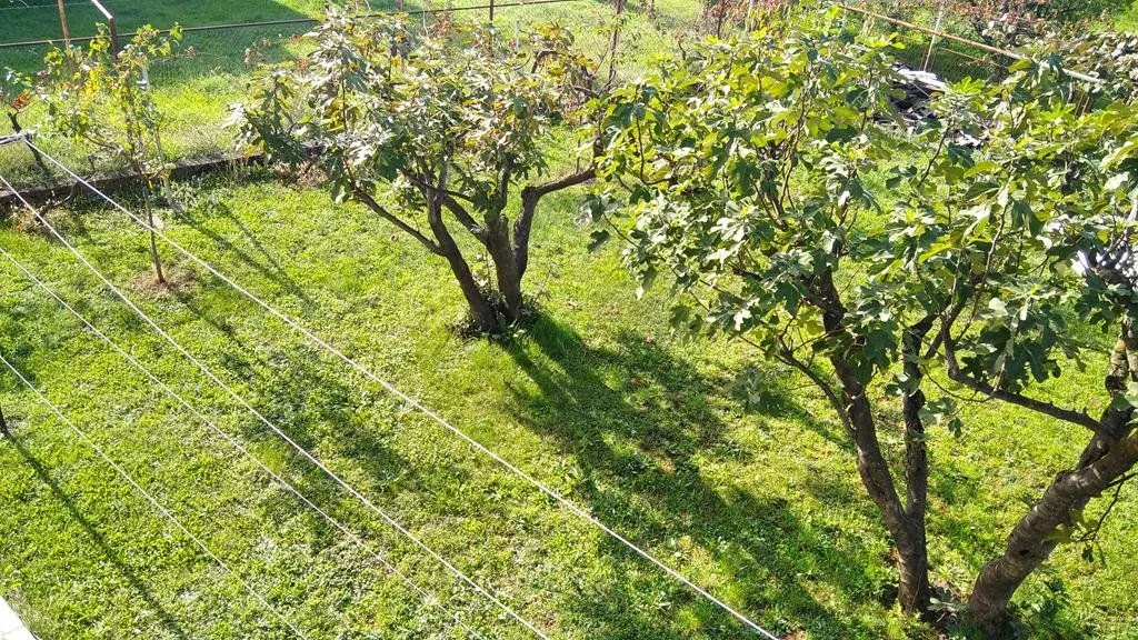 Rent, two bedroom apartment, 100m², Dalmatinska ulica, Podgorica