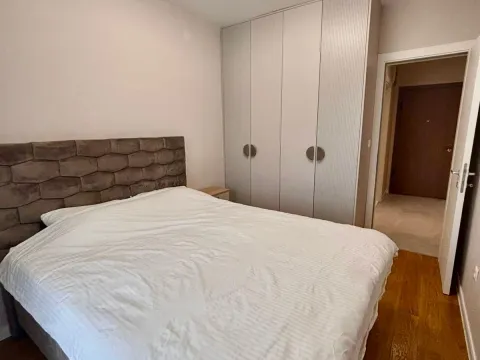 Izdavanje, jednosoban stan, 50m², Central Point, Podgorica - image 3