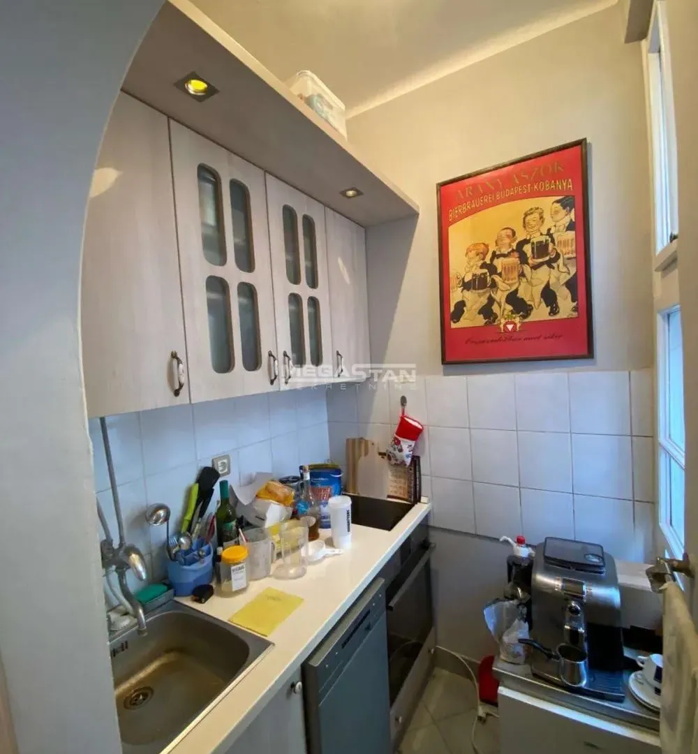 Rent, two bedroom apartment, 32m², Vračar Hram, Vračar Sve Podlokacije