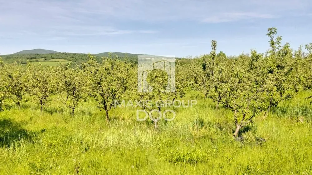 Sale, land lot, 64800m², Kosmaj, Sopot