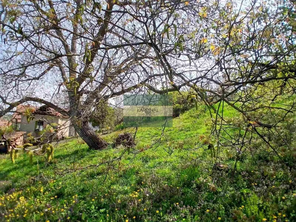 Prodaja, plac, 1258m², Majur, Jagodina
