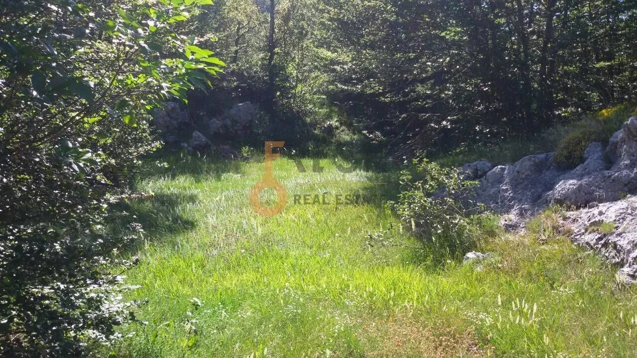 Prodaja, plac, 100000m², Cetinje, Crna Gora