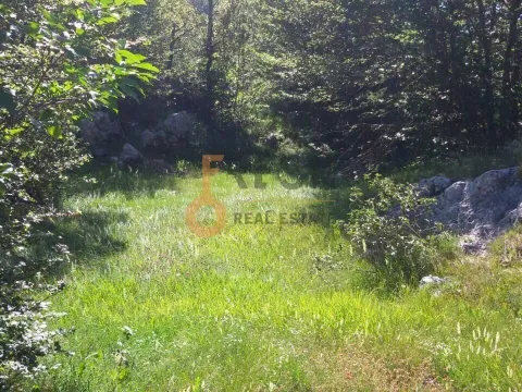 Prodaja, plac, 100000m², Cetinje, Crna Gora - image 6