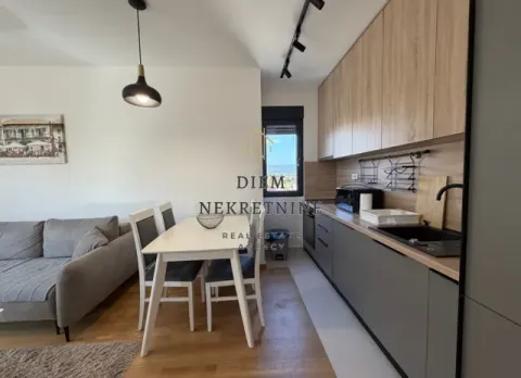 Rent, two bedroom apartment, 53m², Podgorica, Crna Gora - image 13
