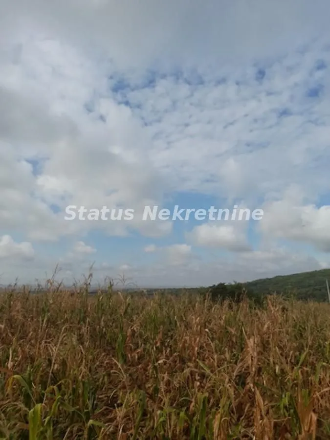 Prodaja, plac, 10800m², Banja Vrdnik, Irig