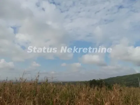 Prodaja, plac, 10800m², Banja Vrdnik, Irig - image 14