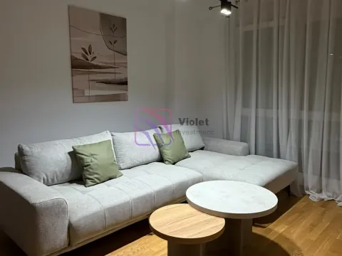 Izdavanje, jednosoban stan, 45m², Zabjelo, Podgorica - image 1