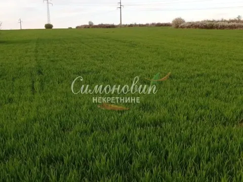 Sale, land lot, 4200m², Železnik, Beograd - image 5