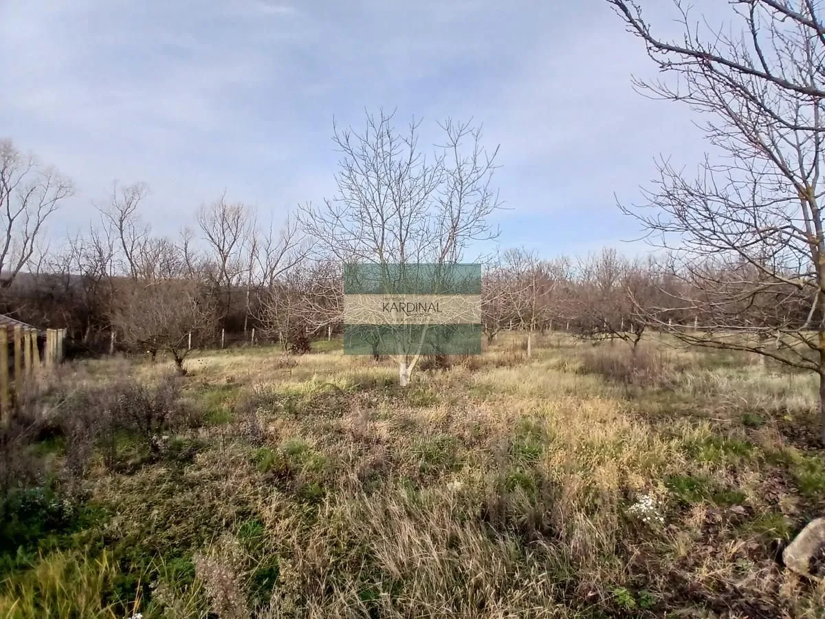 Sale, office space, 723m², Veliki Popović, Despotovac