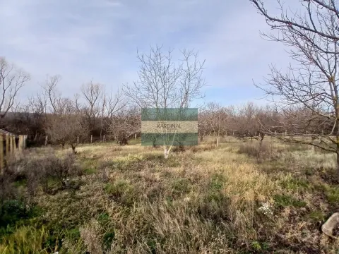 Sale, office space, 723m², Veliki Popović, Despotovac - image 20