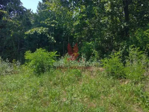 Sale, land lot, 1000m², Sopot, Beograd - image 4