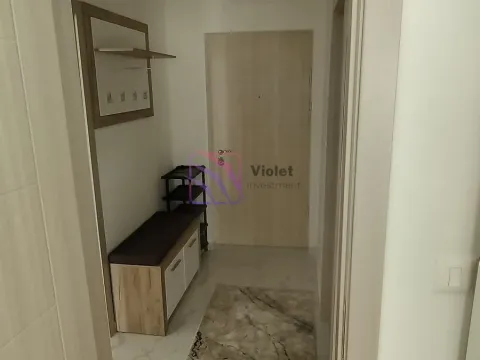 Rent, one bedroom apartment, 40m², Zabjelo, Podgorica - image 11
