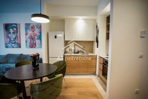 Rent, two bedroom apartment, 54m², Savski Venac, Beograd - image 3